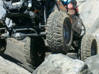 2008 Marlin Crawler Round Up