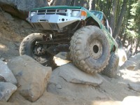 2008 Marlin Crawler Round Up