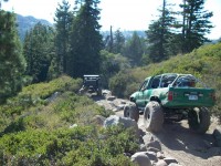 2008 Marlin Crawler Round Up