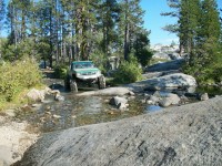 2008 Marlin Crawler Round Up