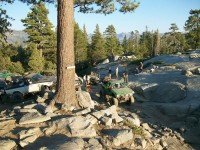 2008 Marlin Crawler Round Up