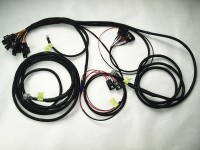 Dual ORS E-Locker Harness